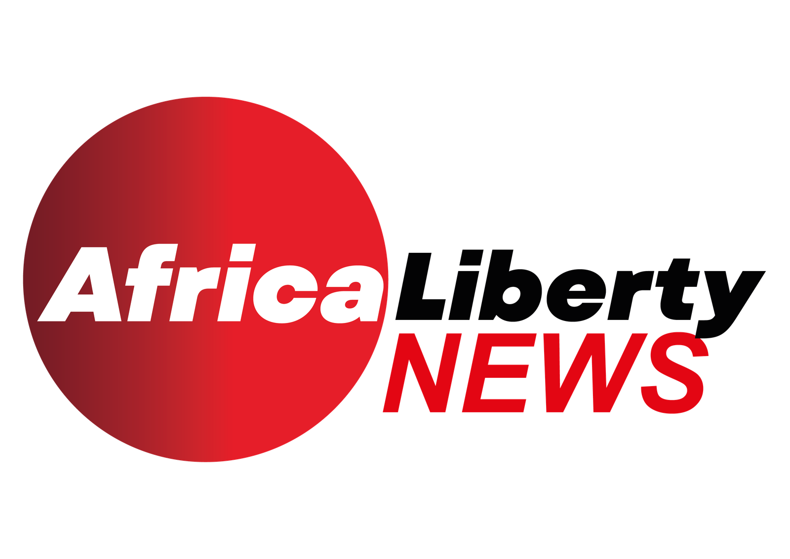 AFRICA LIBERTY NEWS_Plan de travail 1